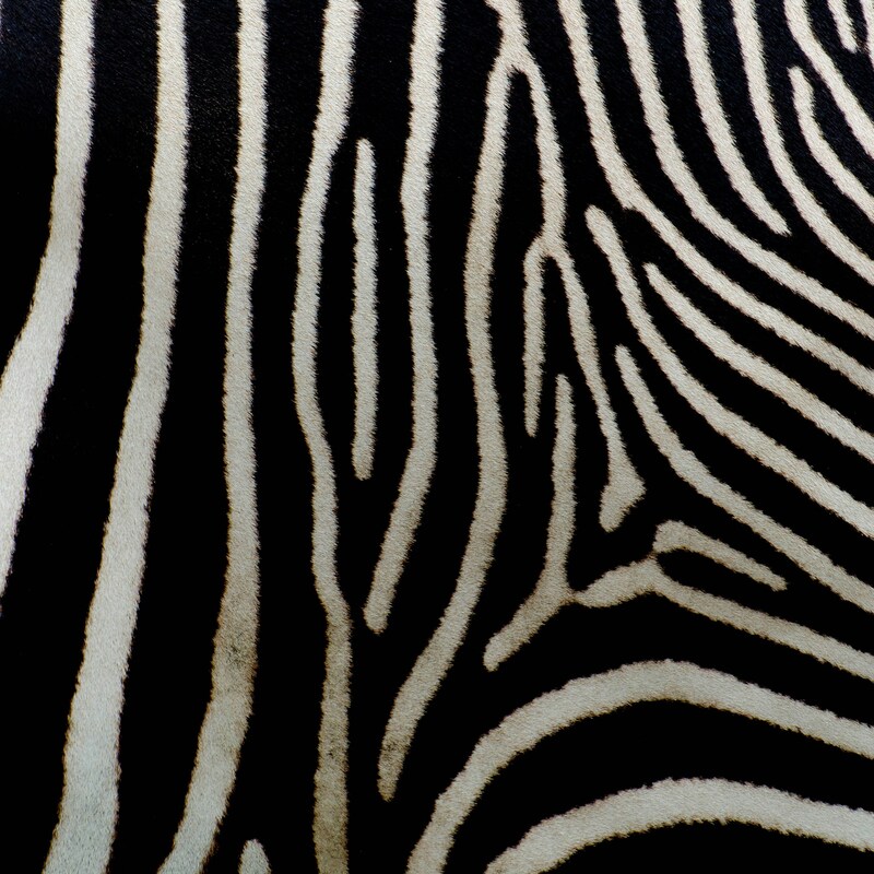 stephane-yaich - QXDI1C0GMA-unsplash (1)